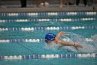 Swim vs Bentley  Wheaton College Swimming & Diving vs Bentley University. - Photo by Keith Nordstrom : Wheaton, Swimming & Diving